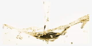 1280 X 644 14 - Macro Photography #8755515