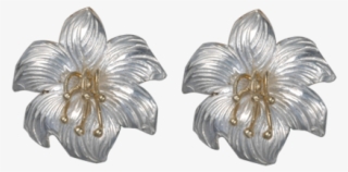 Chinese Hibiscus #8756126