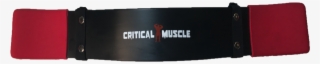 Critical Muscle #8756910