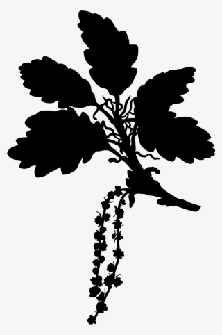 Source - Openclipart - Org - Report - Oak Tree Silhouette - Differenza Tra Rovere E Roverella #8759050
