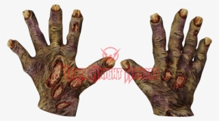 Zombies Hand #8759628