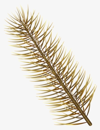 Gold Pine Branch Transparent Png Image #8761165