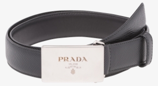 Belt Buckle #8763103