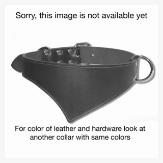 Shark Fin™ Urban West Coast Collar - Leather #8763428 Shark Fin™ Urban West Coast Collar - Leather #8763428