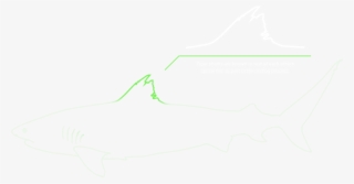 ＋ - Cat Fish #8763710