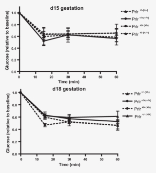 Vector Free Download Glucose Drawing Fetus - Diagram #8764648 Vector Free Download Glucose Drawing Fetus - Diagram #8764648