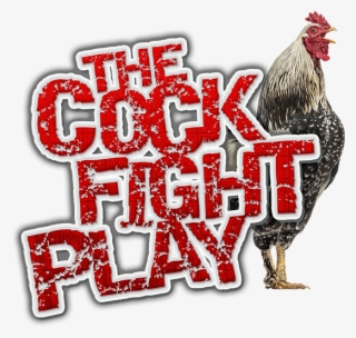 Pb Cockfight - Cock Fight #8765721