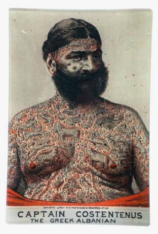 Shannon Holtzapffel The Greatest Showman #8766690