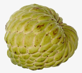 Sugar Apple Download Transparent Png Image - Sugar Apple Png #8766831