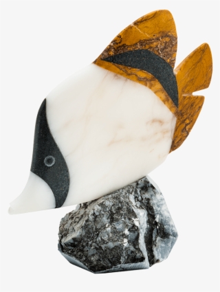 Tropical Fish - Previous - Next - Bufflehead #8767187