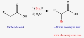 Hell Volhardt Zelinsky Reaction Explained - Z #8767994