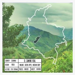 Colombiaelcamino #8768057