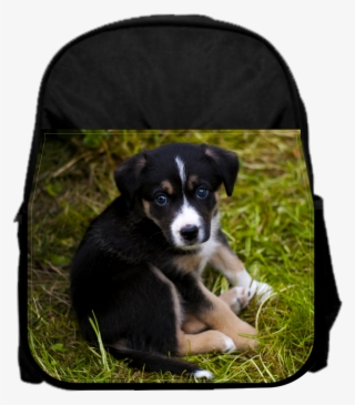 Sad Puppy 13" X 10" Black Preschool Toddler Children's - Cockerspanielin Ja Shetlanninlammaskoiran Risteytys #8768588