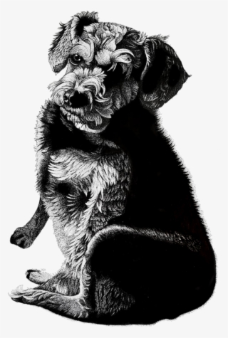 This Is A Drawing Of My Old Friend Martha - Dog Yawns #8768787