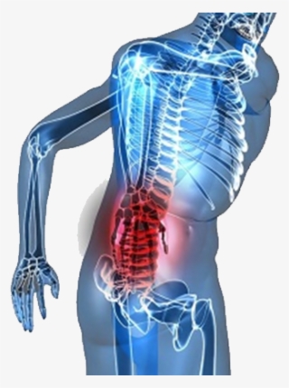 All Of Us Have Experienced Back Pain Of Some Degree - Uric Acid Causes Back Pain #8769276