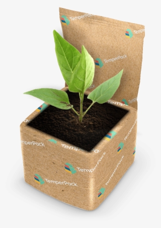 Sustainable Plant Package - Flowerpot #8769530