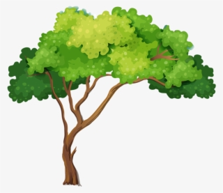 Фотки Family Tree Drawing, Palm Tree Drawing, Christmas - Tree Illustration Png #8771336 Фотки Family Tree Drawing, Palm Tree Drawing, Christmas - Tree Illustration Png #8771336