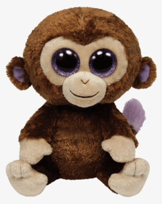 650 X 674 2 - Coconut Beanie Boo #8772422