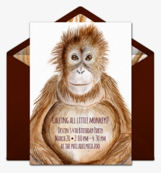 Baby Monkey Portrait Online Invitation - Golden 10th Birthday Invitation #8772705