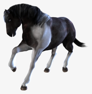 Home / Poser And Daz Studio Content / Horses / Daz - Transparent Horses Png Animated #8777222