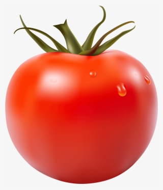 Download - Tomato Sauce Labels #8782028