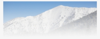 Snow #8782032