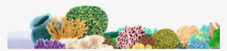 Coral Reef Clipart Transparent Background - Coral Reef Png #8782637