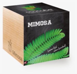 Schokoladenblume #8782828