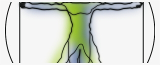 Vitruvian Man Anatomy Science Leonardo Da Vinci E1442386609434 - Vitruvian Man #8783282