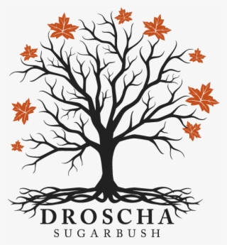 Syrup Clipart Maple Sugar - Tree With Roots Svg Free #8783384