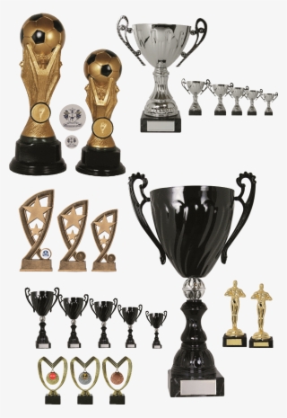 Ranges - Trophy #8784279