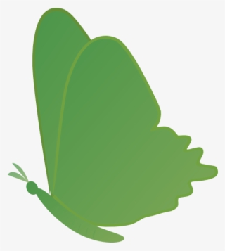 Butterfly Png #8784304