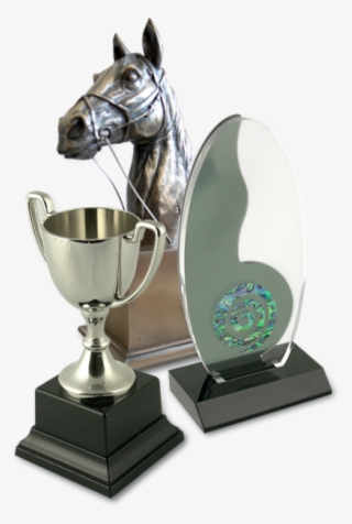 Enquire About Our Large Range Of Trophies - Trophy #8784408