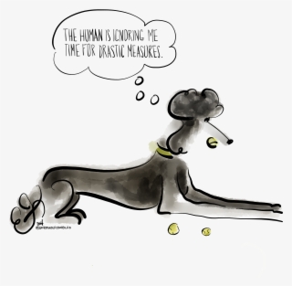 Poodles - Longdog #8784586