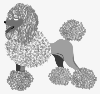 This Png File Is About Vector , French Poodle , Breed - Poodle #8784634