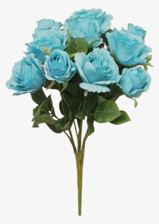 Garden Roses #8784704