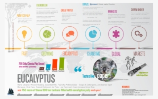 The Market Leader - Timeline Layout #8784982