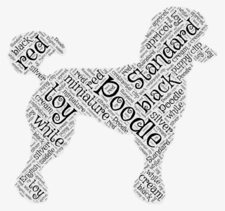 Gift For Lover, Poodles, Poodle, Toy Poodles - Companion Dog #8785307