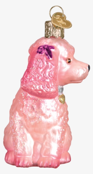 Side View - Companion Dog #8785555