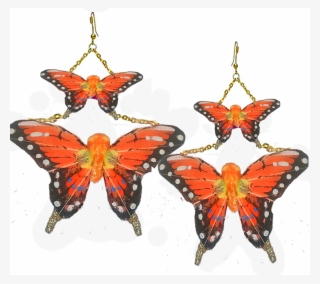 Butterfly Earrings Orange Swallowtail - Earrings #8786984