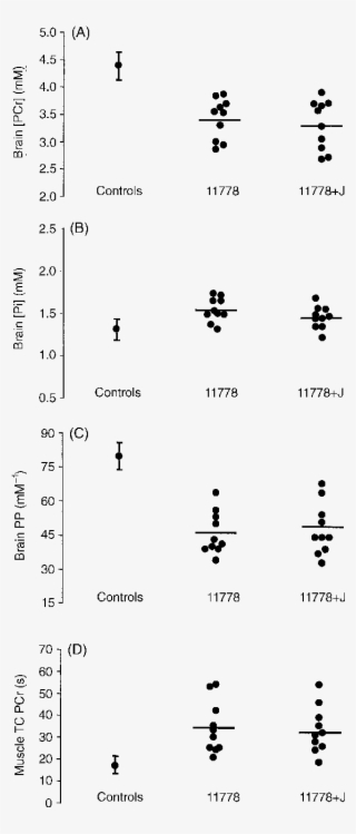 Distribution Of Brain [pcr] , [pi] (b) - Number #8788327
