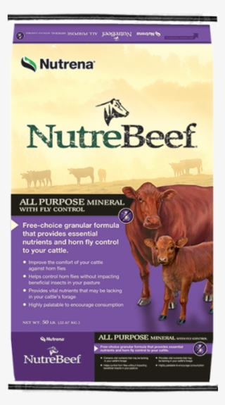 6658300 1 - Nutrebeef Beef Maker #8790192