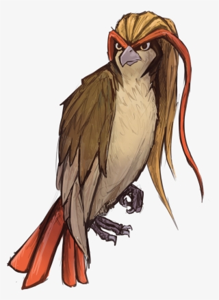 Pidgeot - Cockatiel #8790309