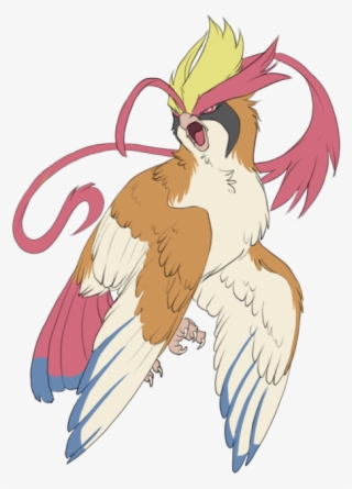 Pokemon My Art Pidgeot Oras Spoilers Mega Pidgeot - Cartoon #8790625