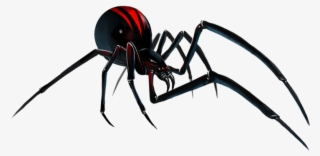 Black Widow Spider Png File - Black Widow Spider Artwork #8791787