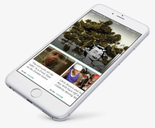 Snoop Logo Neon Roots Work - Marijuana #8793184