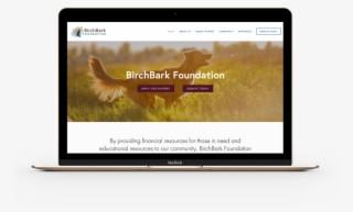 Redesign Online Donation Integration - Valentine Day Banner Cosmetic #8794305