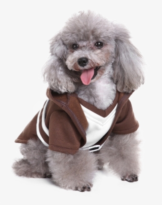 Costume #8794558