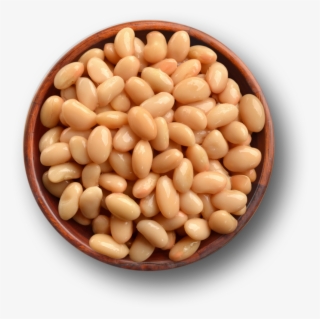 Great Northern Beans Green - Great Northern Beans #8794651