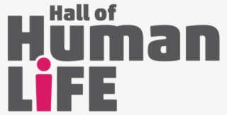 Logo For A Large Permanent Exhibition - Graphic Design #8795857